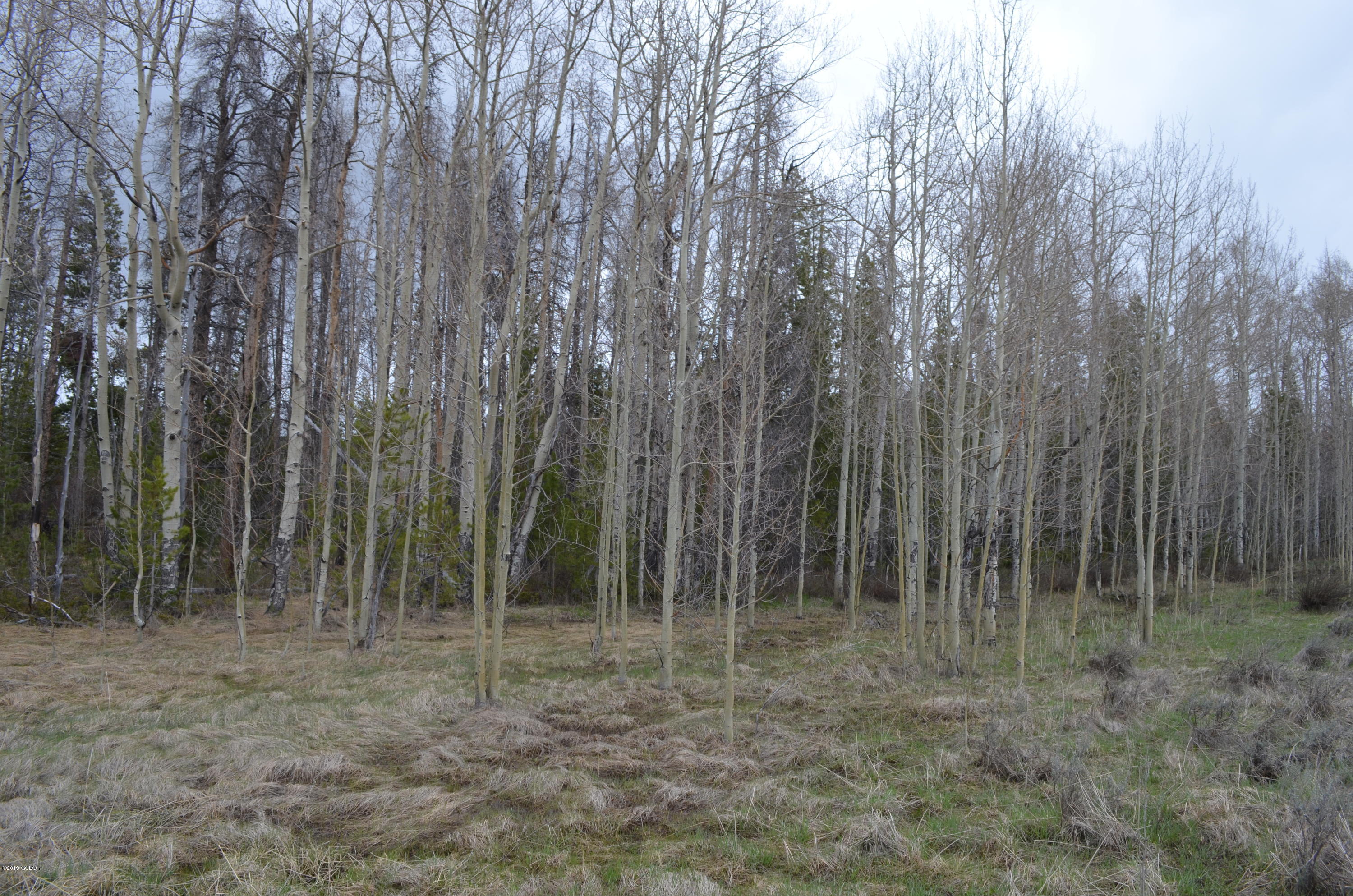 2064 GCR 88 Granby CO 80446