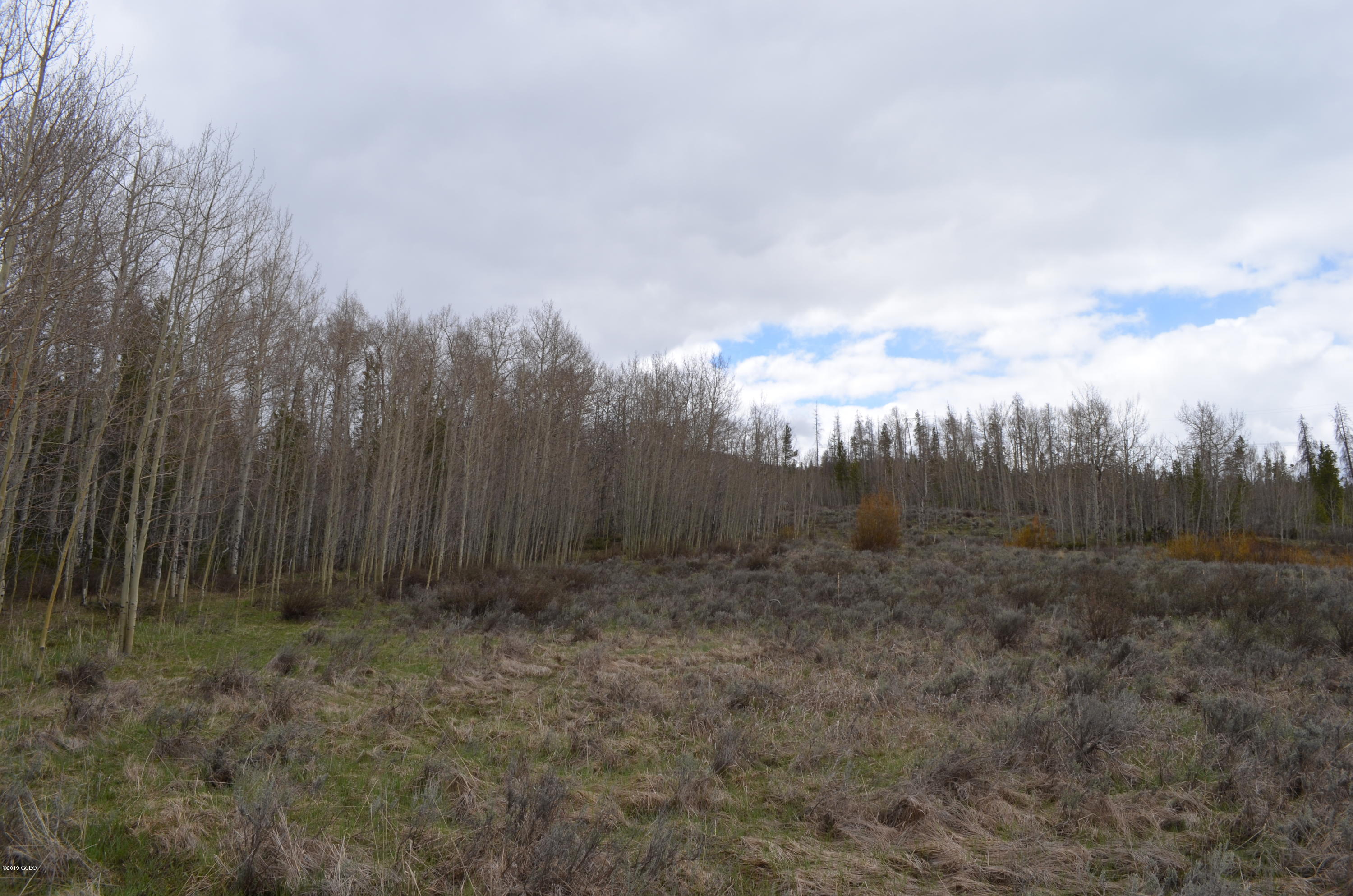 2064 GCR 88 Granby CO 80446