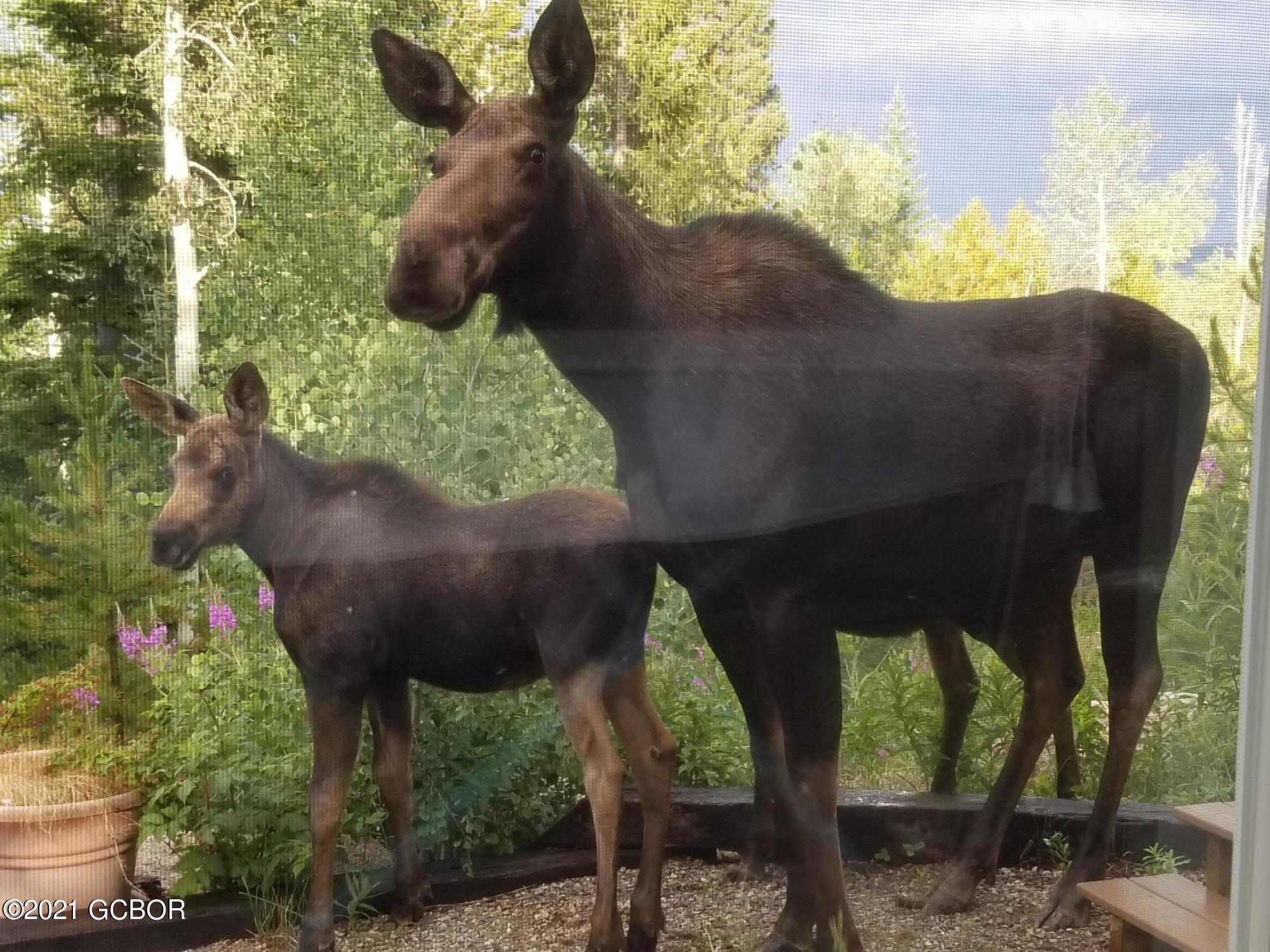 2227 County Road 164 Kremmling CO 80459
