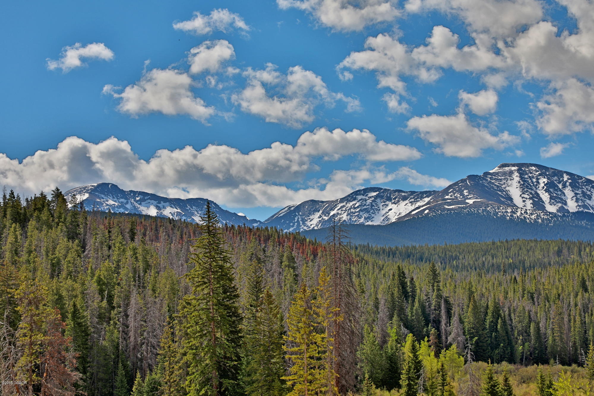 217 Sawyer Circle Winter Park CO 80482