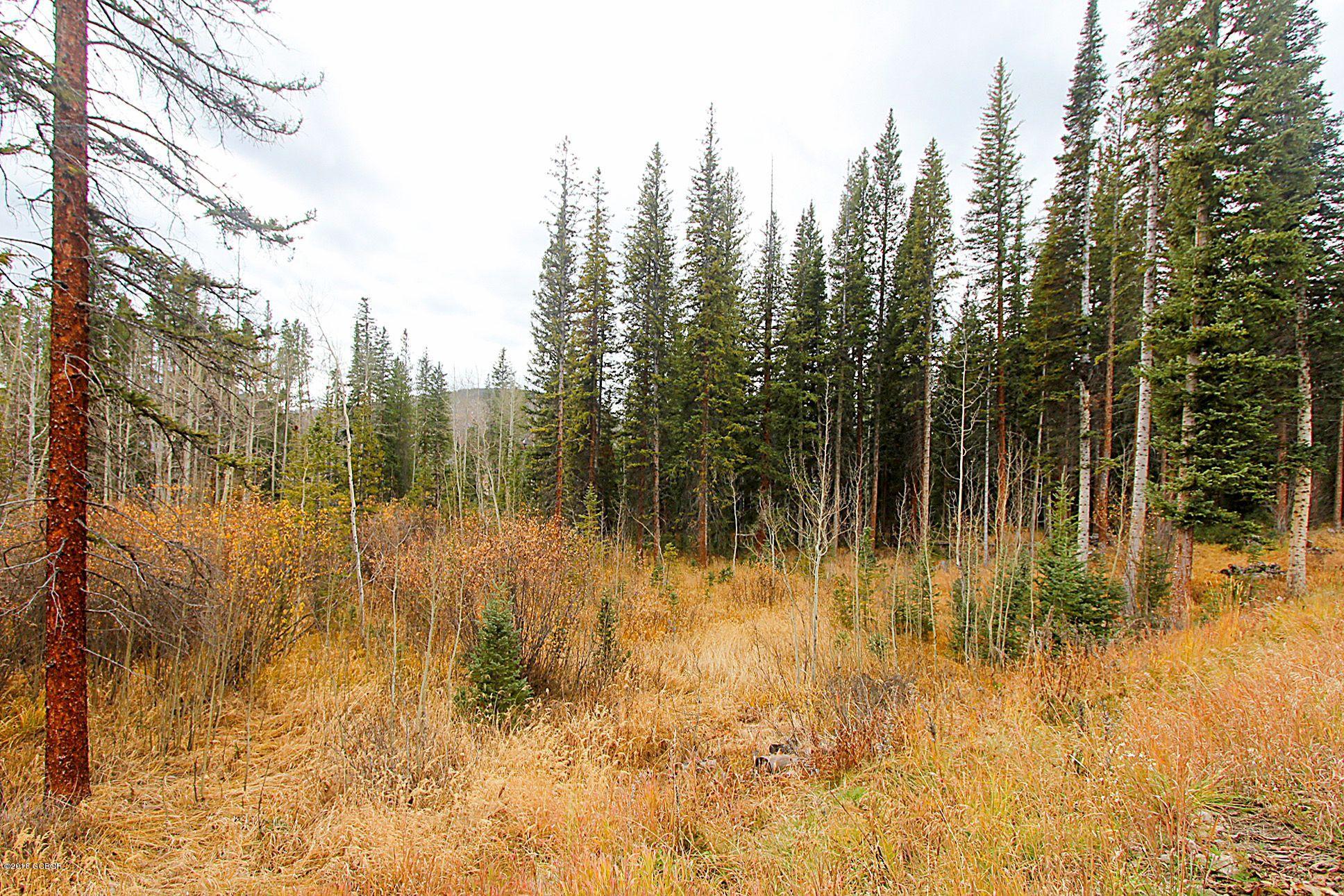 643 Timber Lake Way Winter Park CO 80482