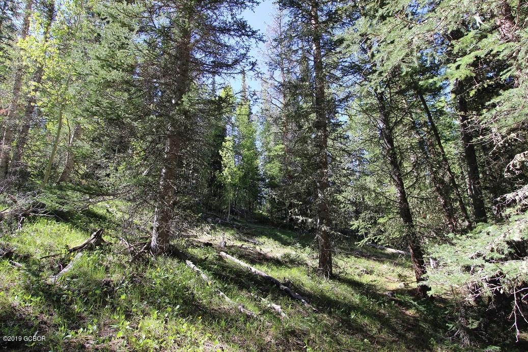 Copper Spur Road Kremmling CO 80459