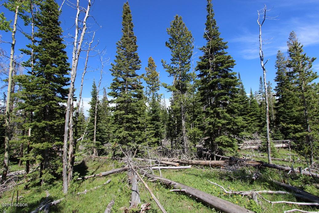 Copper Spur Road Kremmling CO 80459