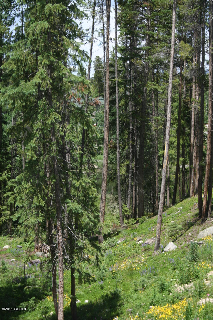 65 Lake Trail Court Winter Park CO 80482