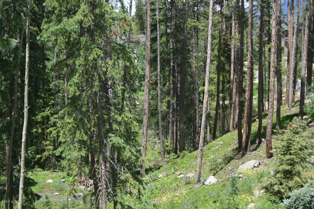 65 Lake Trail Court Winter Park CO 80482