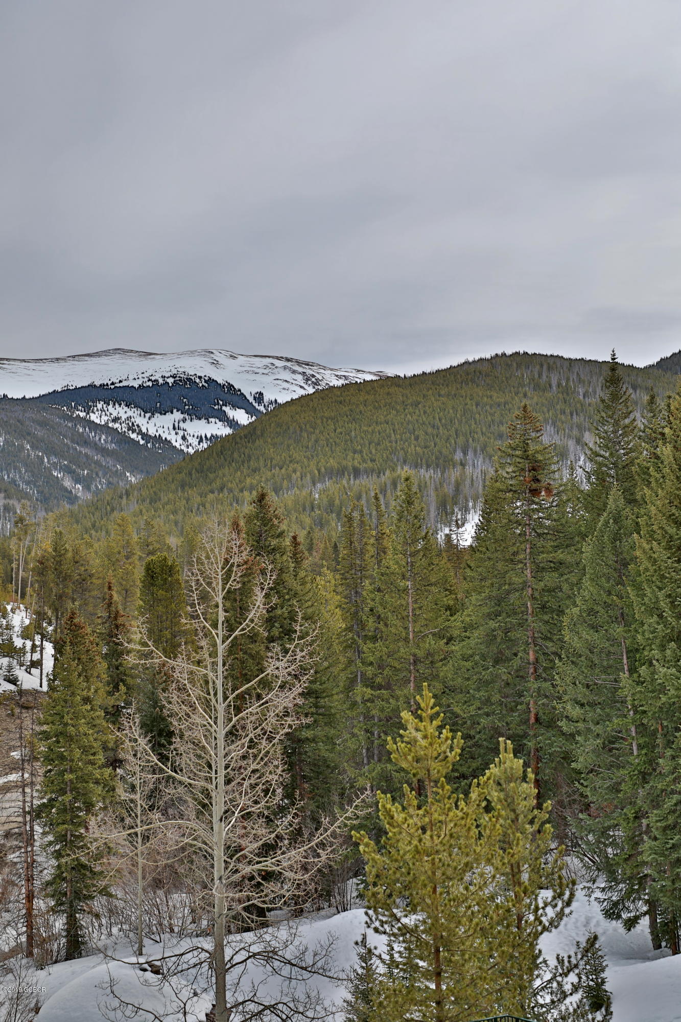313 Iron Horse Winter Park CO 80482