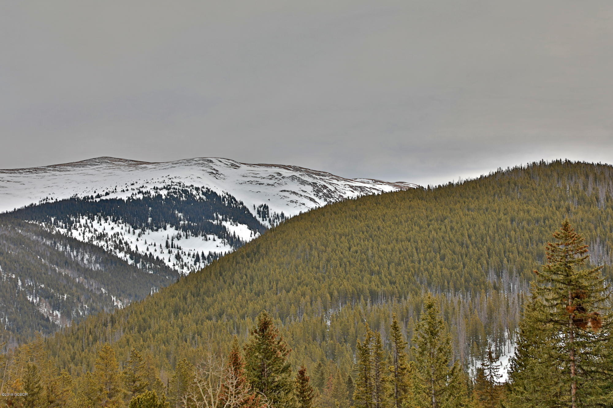313 Iron Horse Winter Park CO 80482