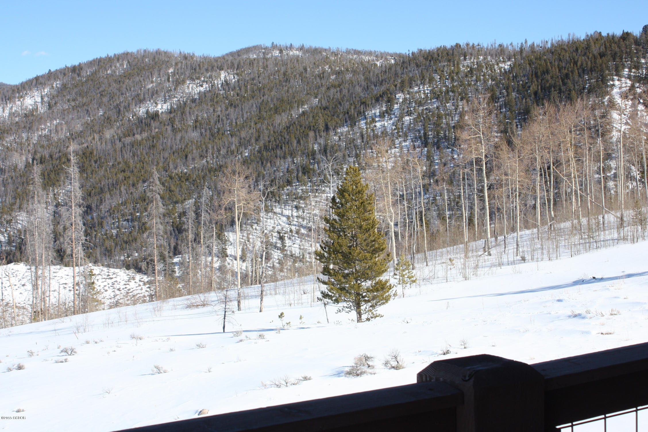 350 Lone Eagle Drive Granby CO 80446