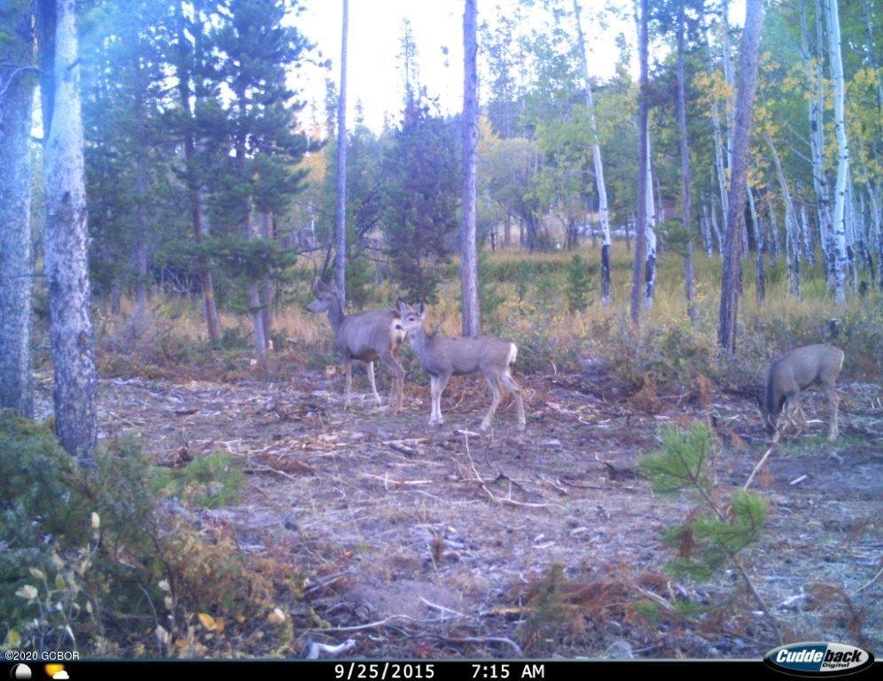 500 GCR 466 Grand Lake CO 80447