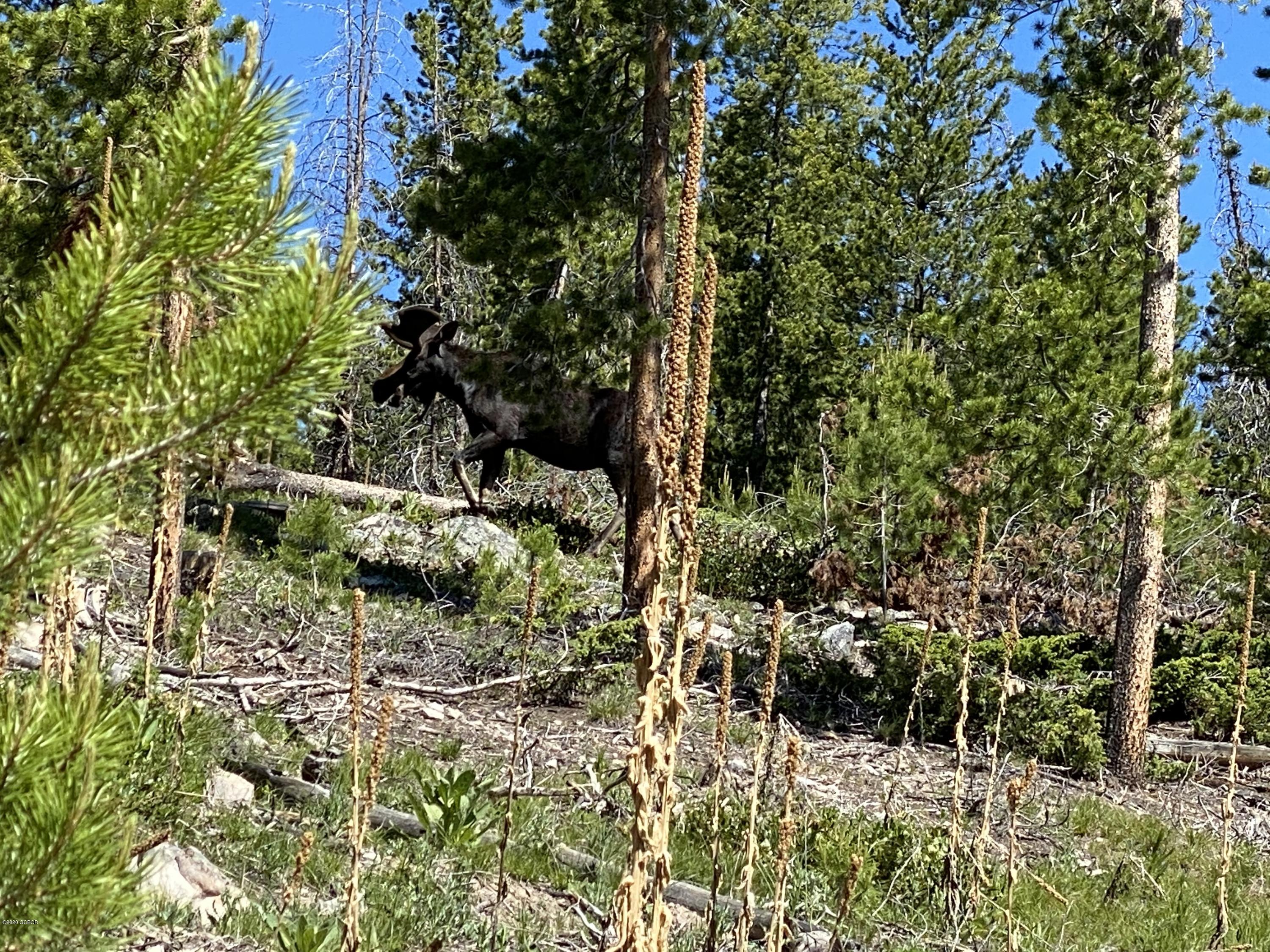 500 GCR 466 Grand Lake CO 80447