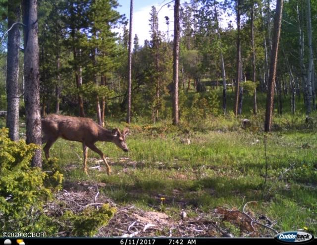 500 GCR 466 Grand Lake CO 80447