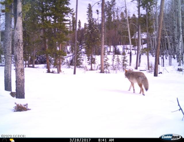 500 GCR 466 Grand Lake CO 80447