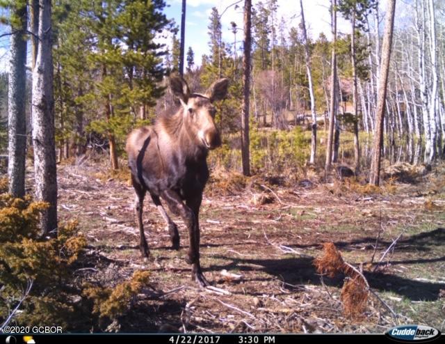 500 GCR 466 Grand Lake CO 80447