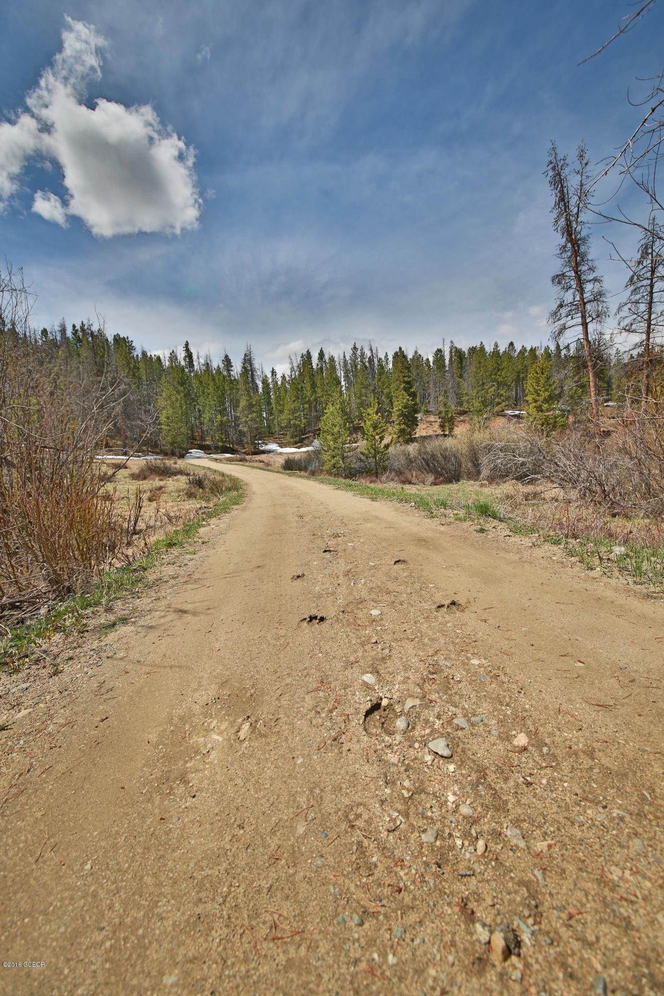 2387 Cr 841/hamilton Creek Road Tabernash CO 80478