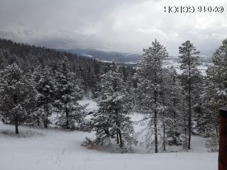 2387 Cr 841/hamilton Creek Road Tabernash CO 80478