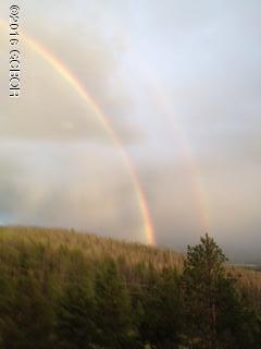 2387 Cr 841/hamilton Creek Road Tabernash CO 80478