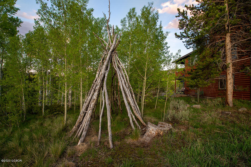 111 Deer Track Court Granby CO 80446