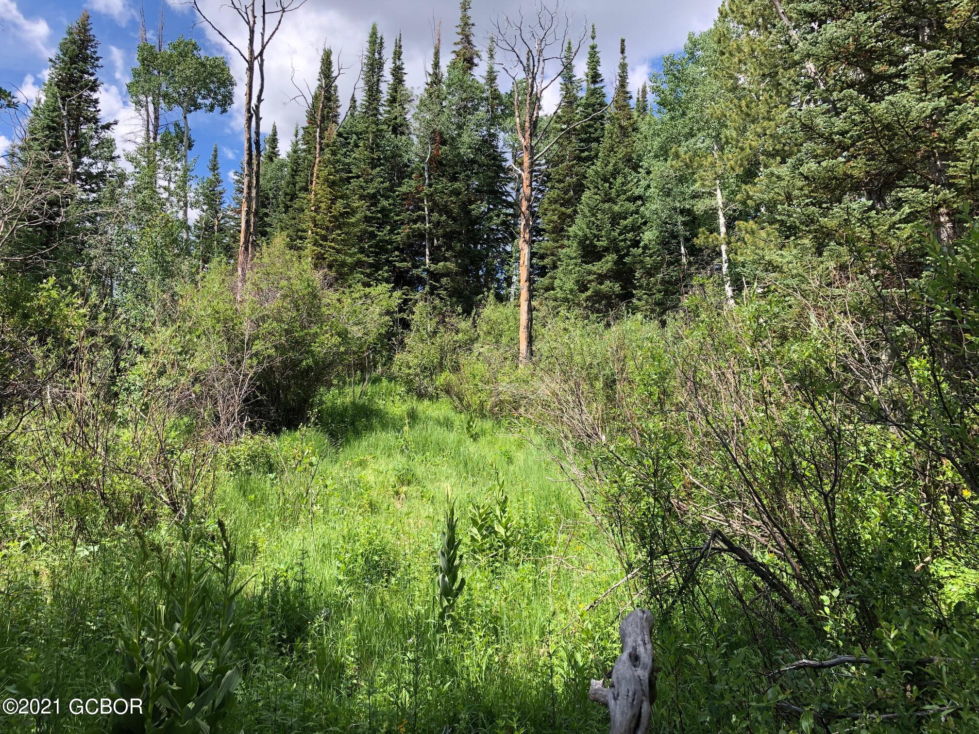 2445 County Road 164 Kremmling CO 80459