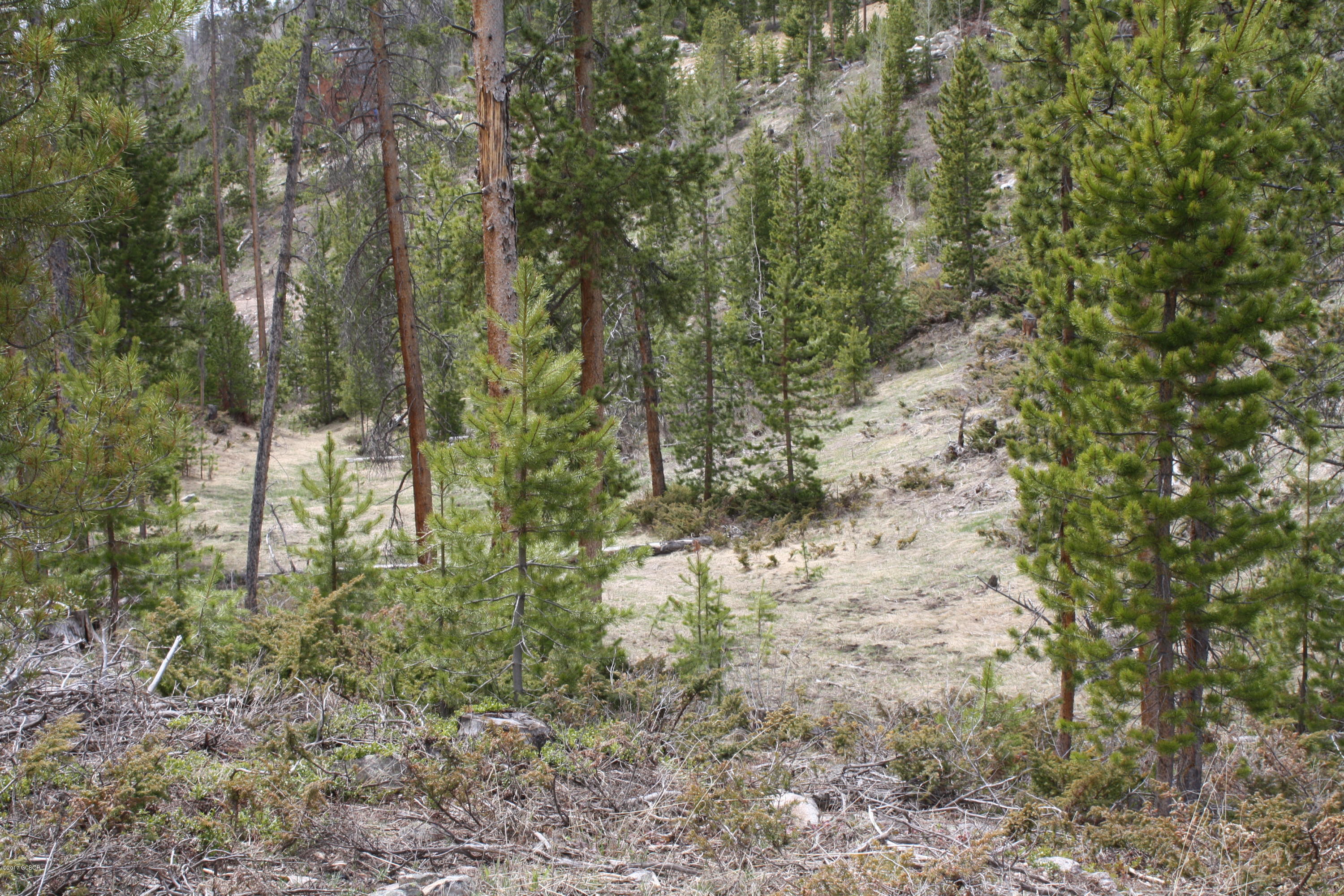 50 Lazy Lane Grand Lake CO 80447